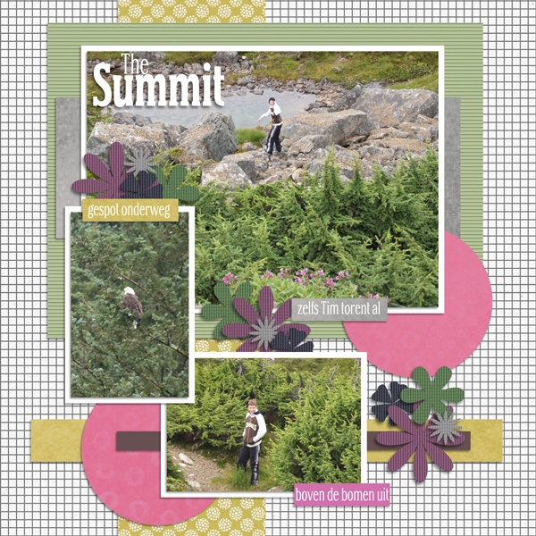 The Summit