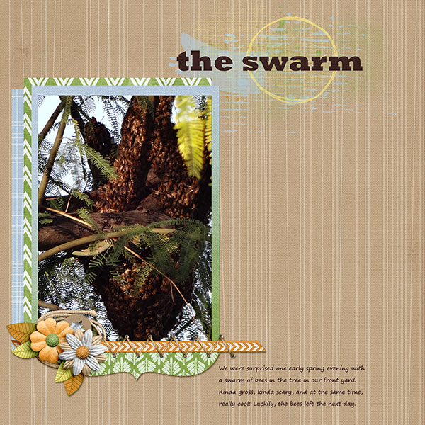 the swarm
