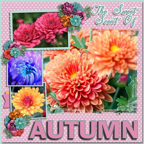 The Sweet Scent of Autumn