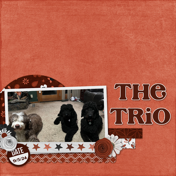 The Trio
