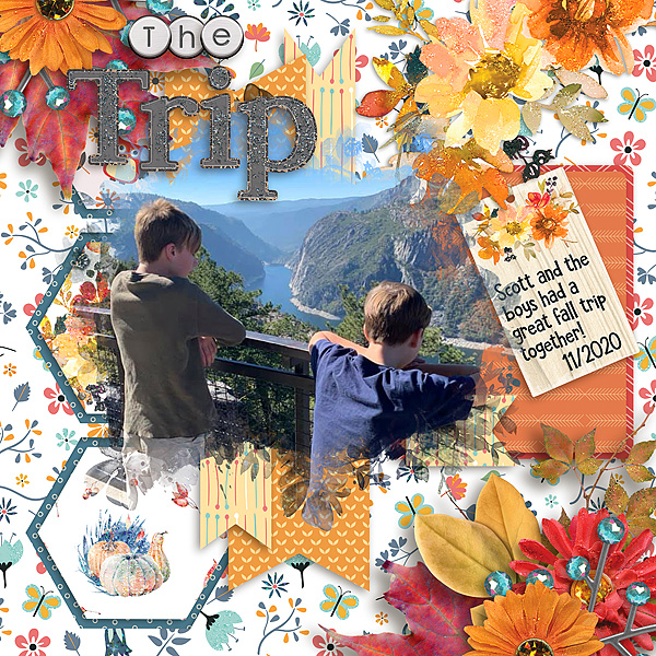 The Trip