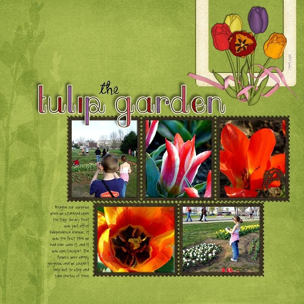 The Tulip Garden