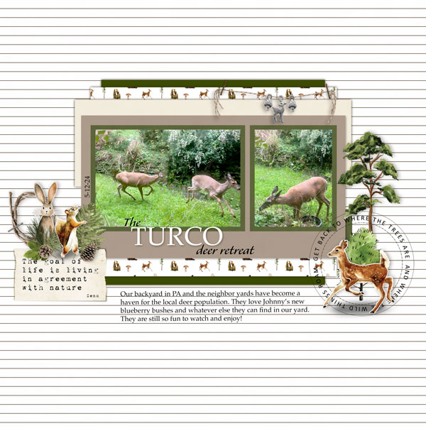 The Turco Deer Retreat