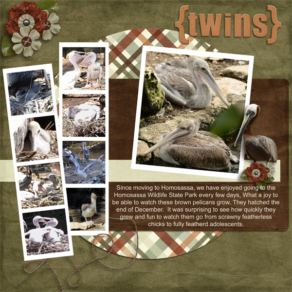 The Twins