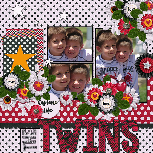 The Twins