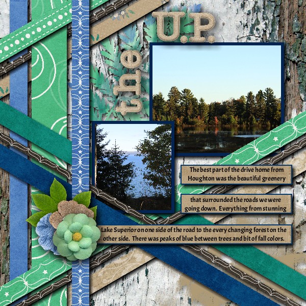 The U.P.
