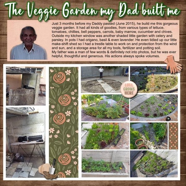 The Veggie Garden my Daddy built me