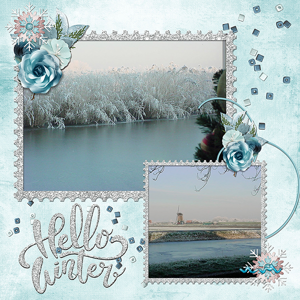 The View from my Window - Hello Winter