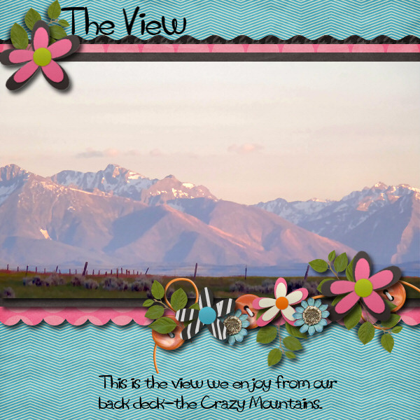 The View