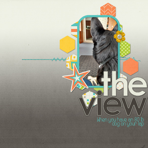 The View