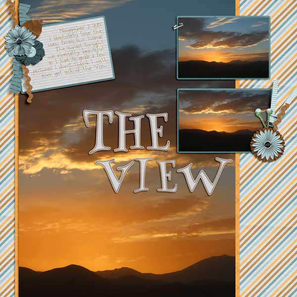 The View