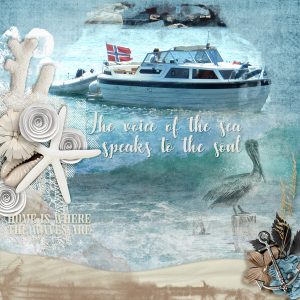 The-voice-of-the-sea1