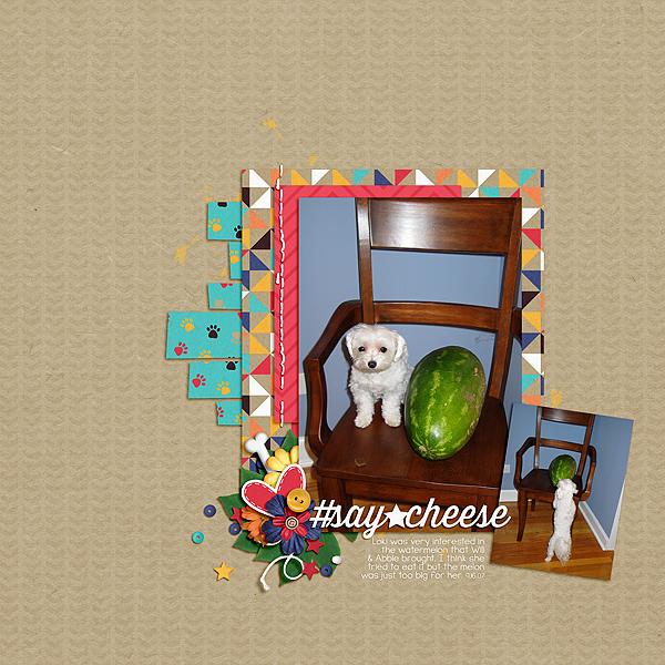 The Watermelon