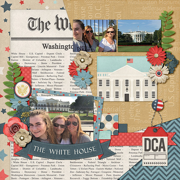 The White House, Washington DC
