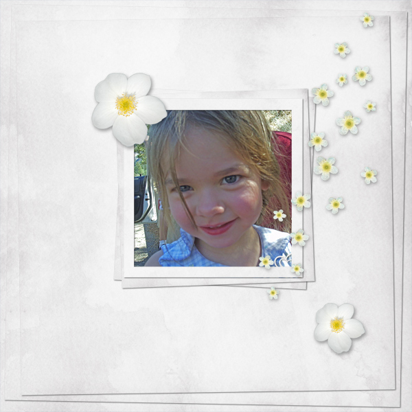 the white layout