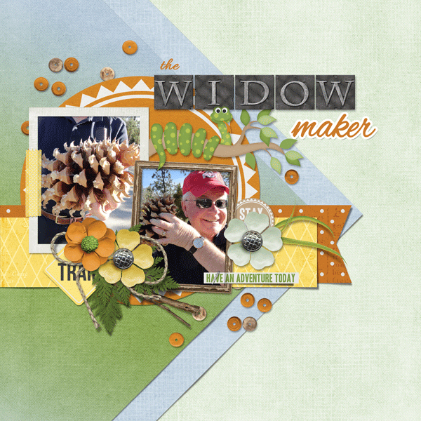 The Widow Maker