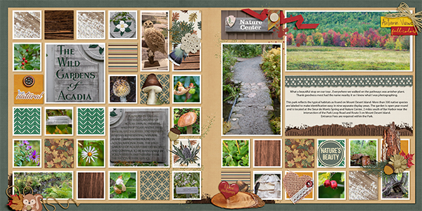 The Wild Gardens of Acadia