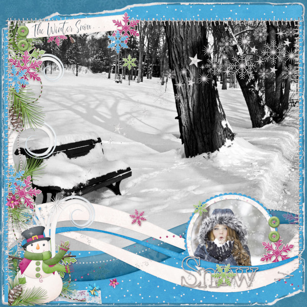 The Winter Snow...