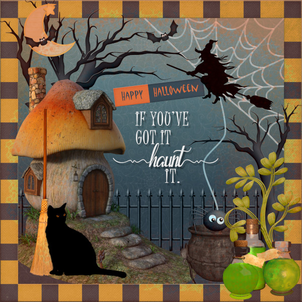 The Witches Cat