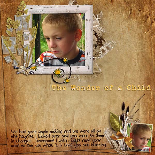 The Wonder Of A Child