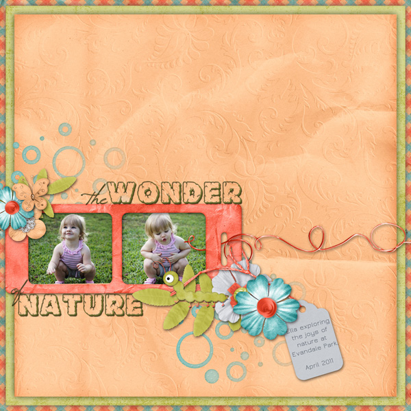 The Wonder of Nature