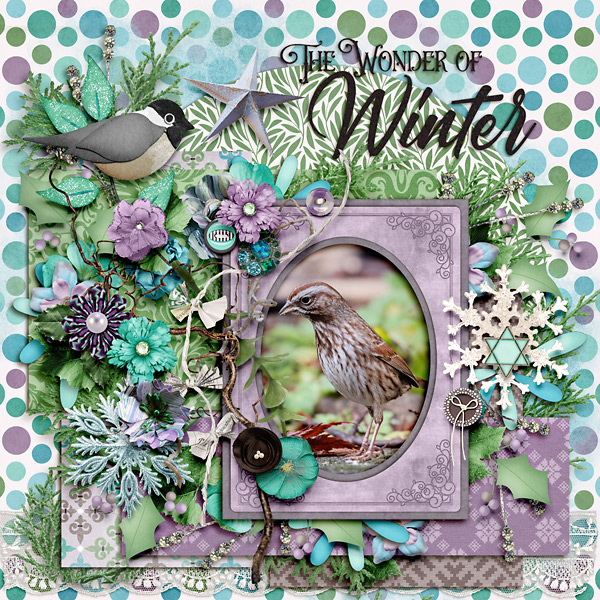 The Wonder Of Winter