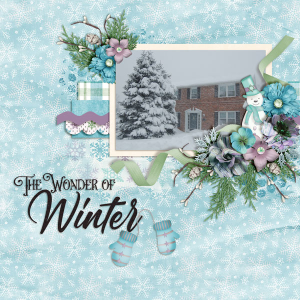 The-Wonder-Of-Winter1