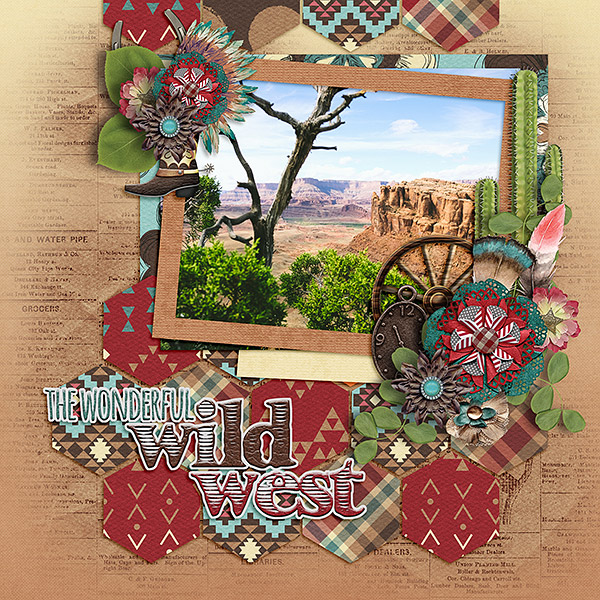 The Wonderful Wild West