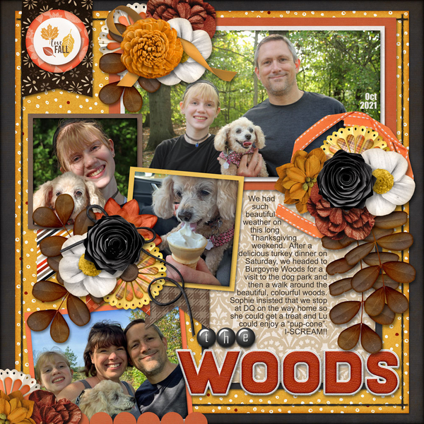 The Woods