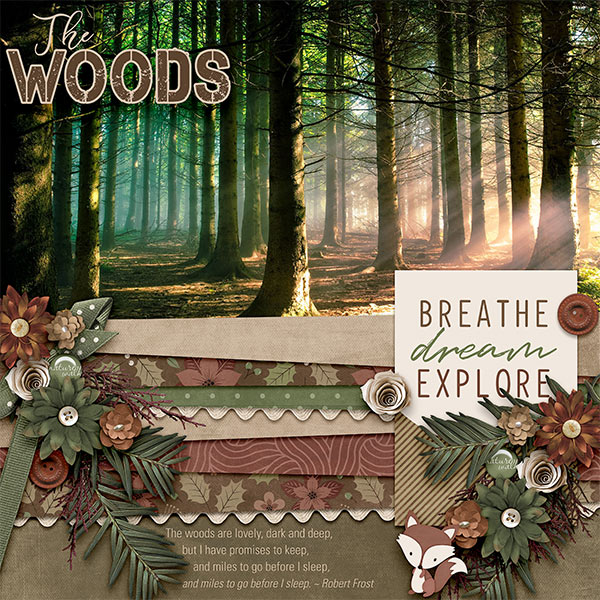 THE WOODS