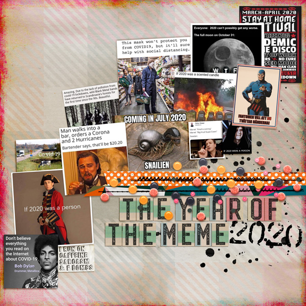The Year of the Meme