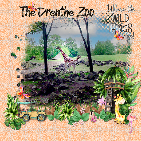 The Zoo at Drente