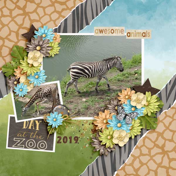 The Zoo