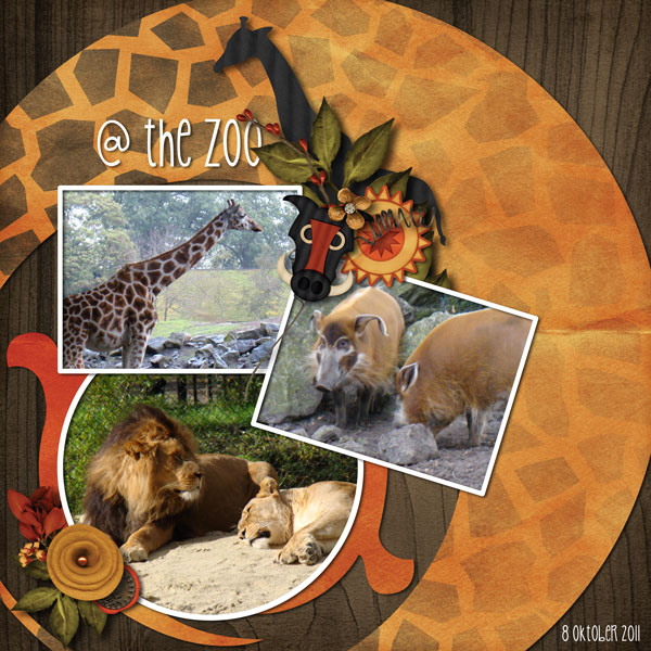 @ the zoo