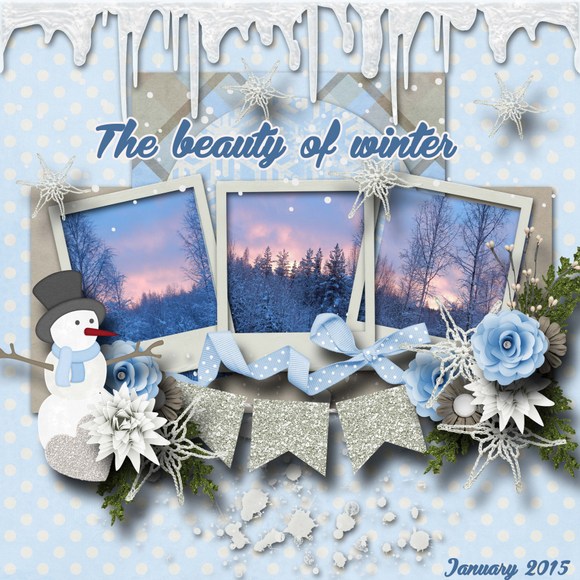 The_beauty_of_winter
