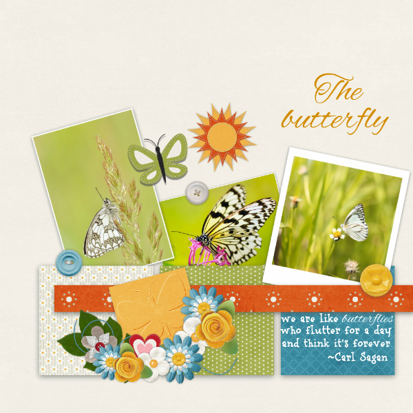 The_butterfly