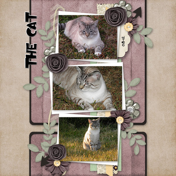 The_Cat