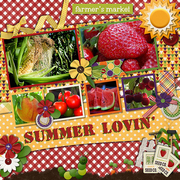 The_Farmers_Market