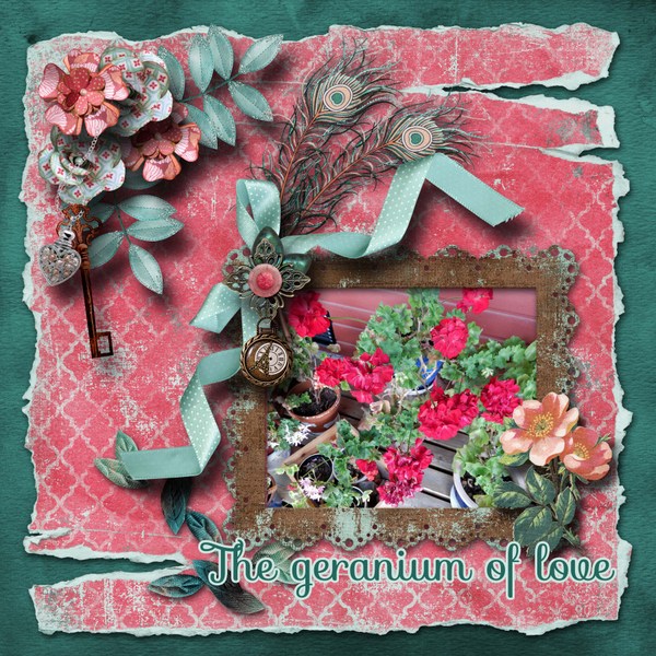The_geranium_of_love