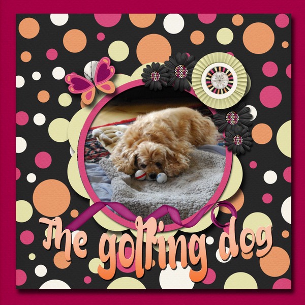 The_golfing_dog