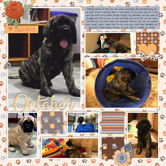 the_puppies