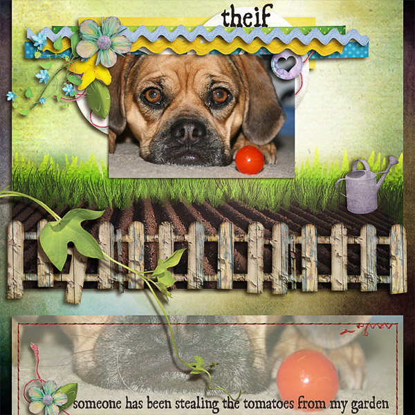 theif