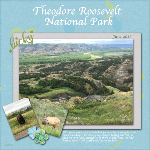 Theodore Roosevelt National Park