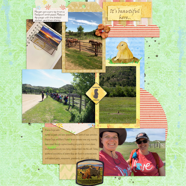 Theodore Roosevelt NP 2019