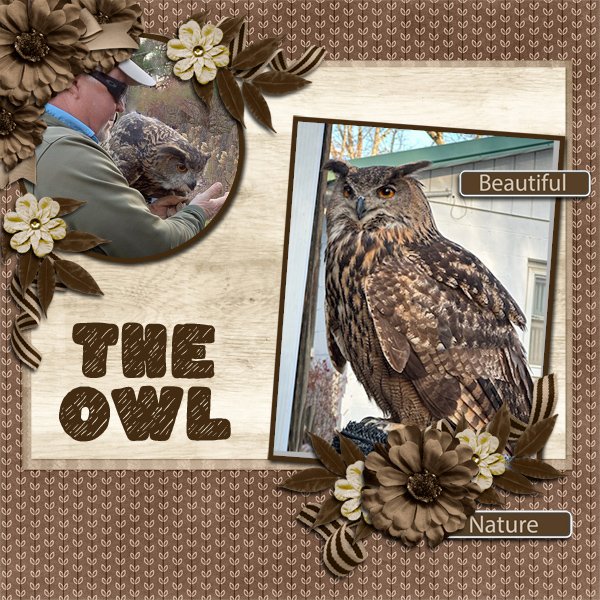 TheOwl
