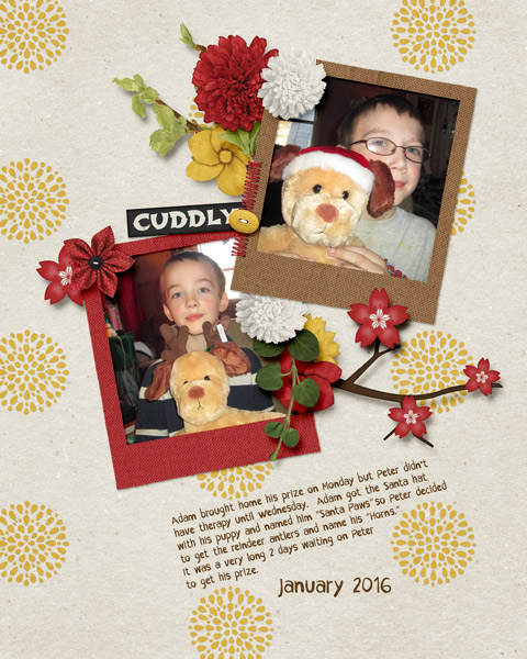 Therapy Dogs