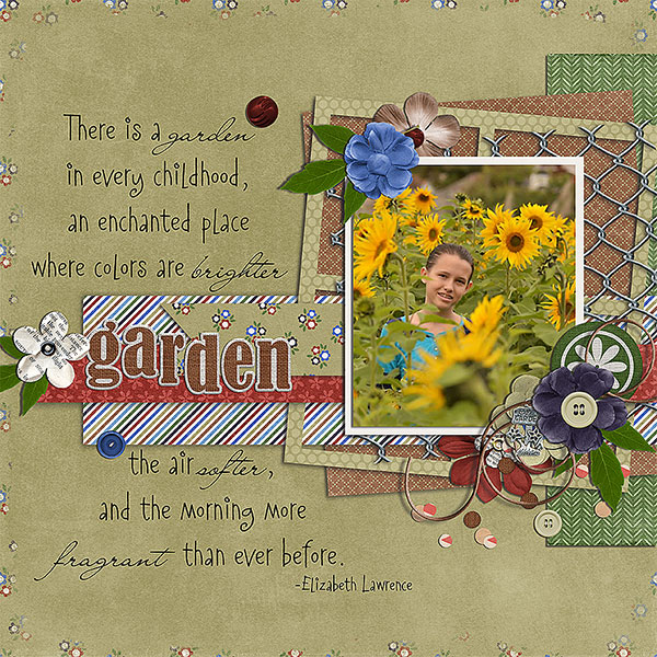 there is a garden