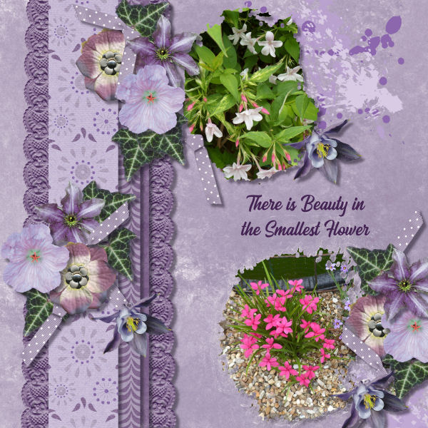 There is Beauty in the Smallest Flower.