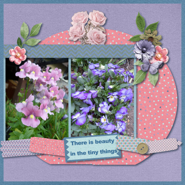 There is beauty in the tiny things