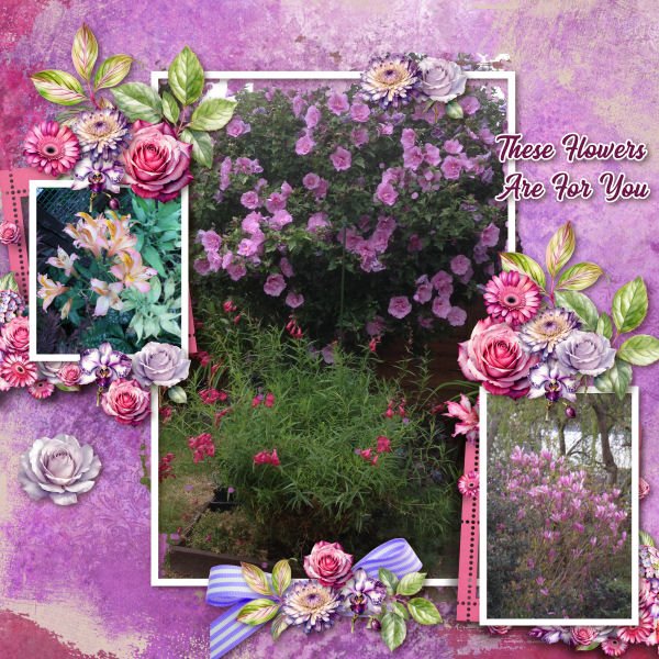 These Flowers Are For You